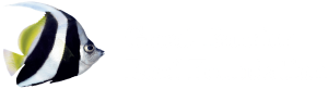 GBRF_Logo_Colour White