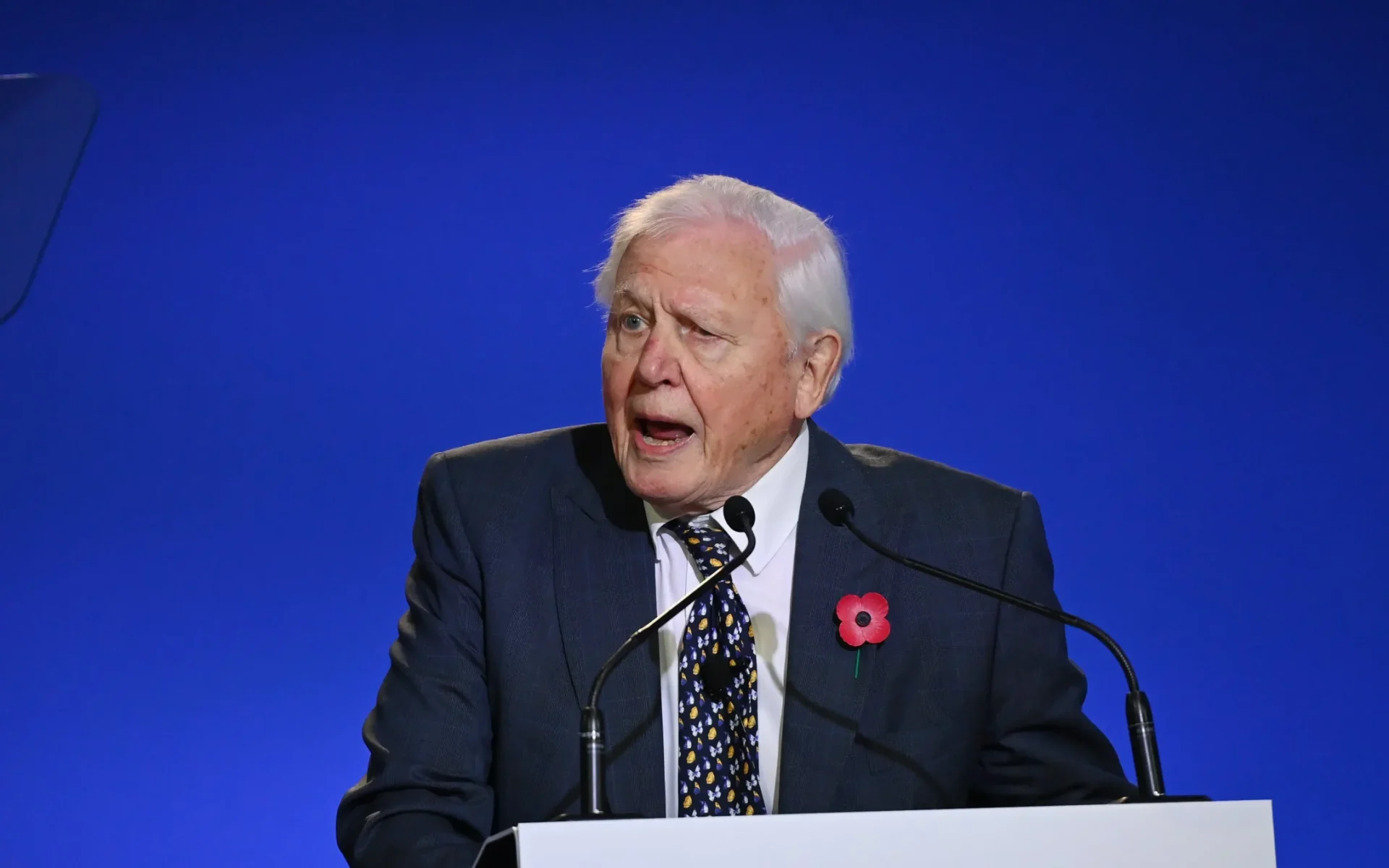 2022 UNEP Champions of the Earth Lifetime Achievement Award laureate, Sir David Attenborough